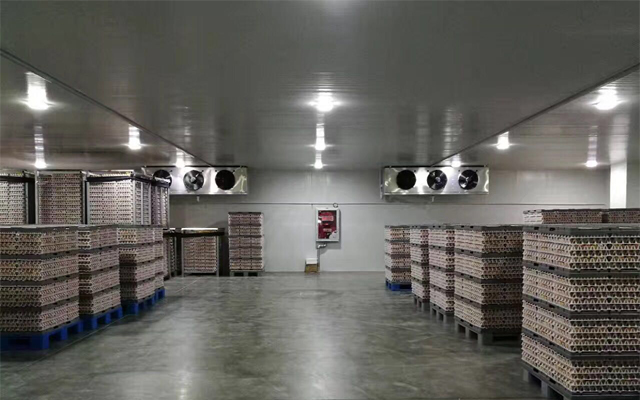 1000噸0-5℃蘋果冷藏庫多少錢，2-4℃冷藏庫建設(shè)