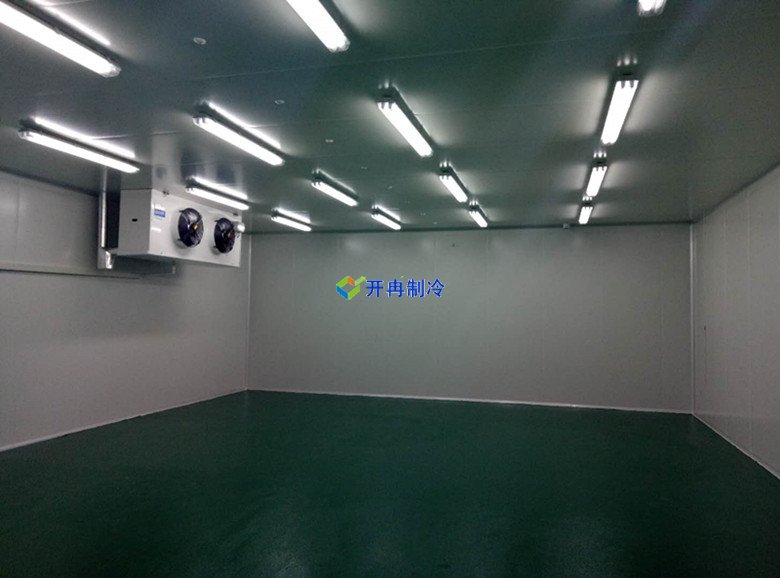 醫(yī)療冷庫的安裝標(biāo)準(zhǔn)，2-8℃生物制品冷庫安裝制冷設(shè)備造價(jià) 冷庫內(nèi)景圖片