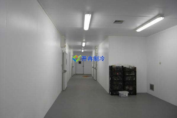 定制酒店冷凍庫、食堂雙溫庫、餐飲冷藏庫工程造價